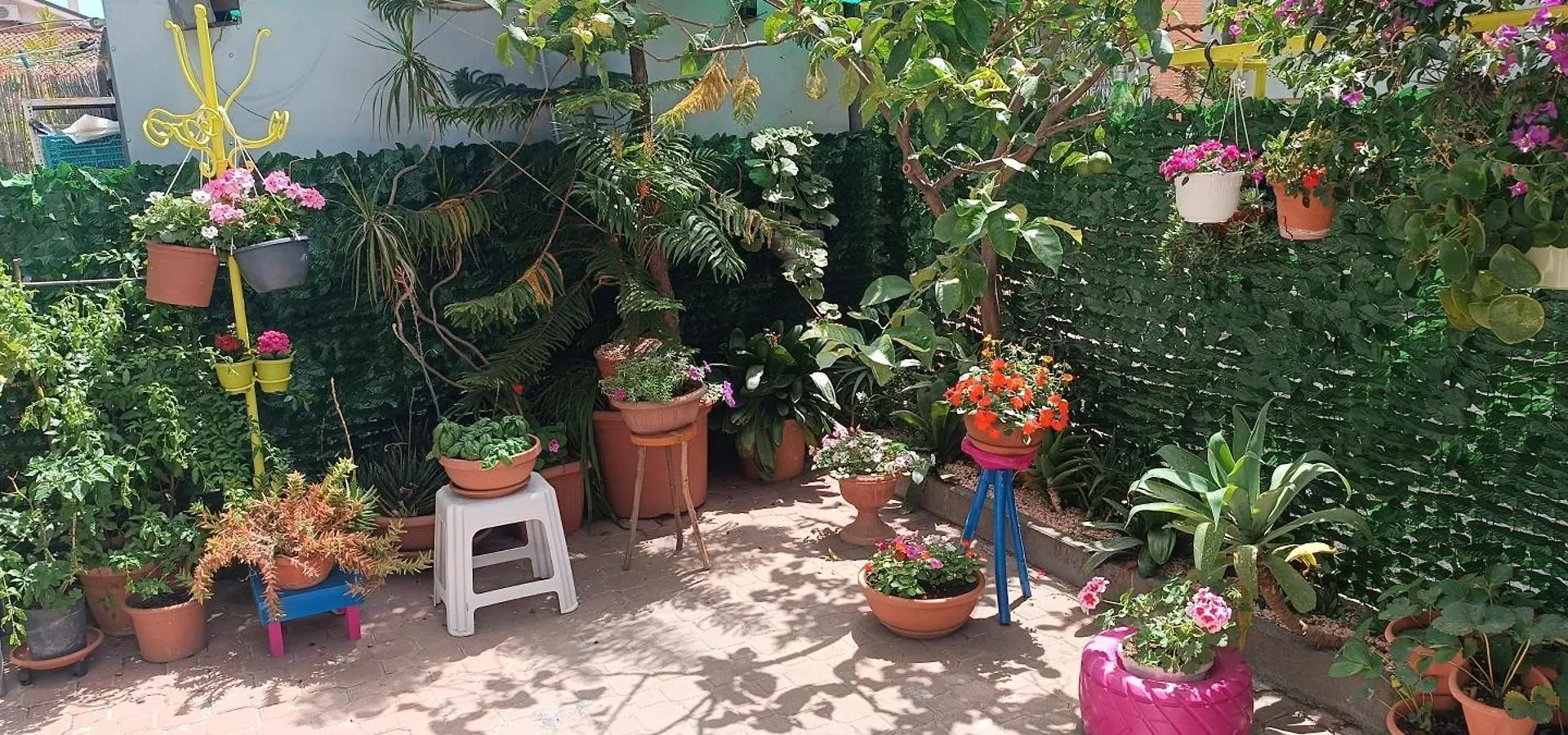 B&B Home Sweet Home Diano Marina Italia